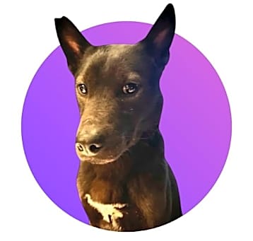 Photo of Tesla
