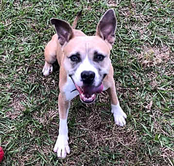 Photo of Deedee