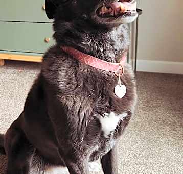 Photo of Lefty