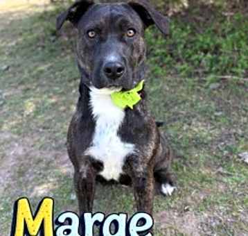 Photo of Marge 32044