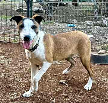 Photo of Carmela