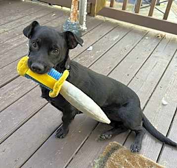 Photo of Popeye