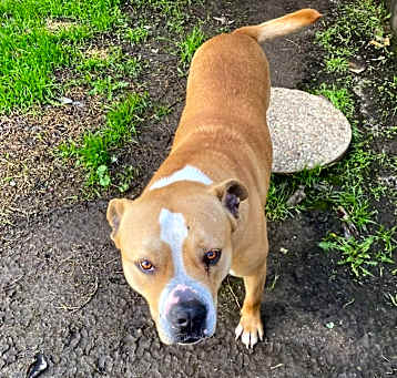 Photo of Tap