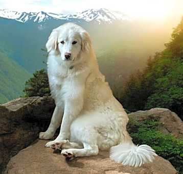 Photo of Savannah