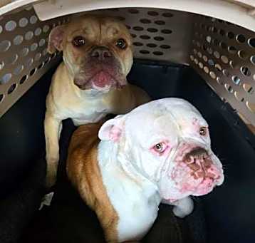 Photo of Asha and Noah