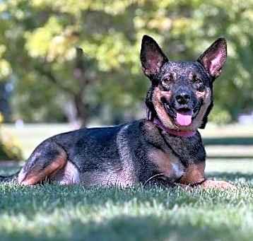 Photo of Ruby King