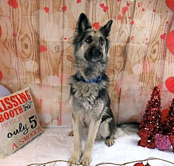 Photo of Kya