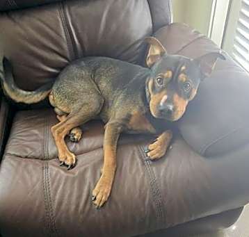 Photo of TETE