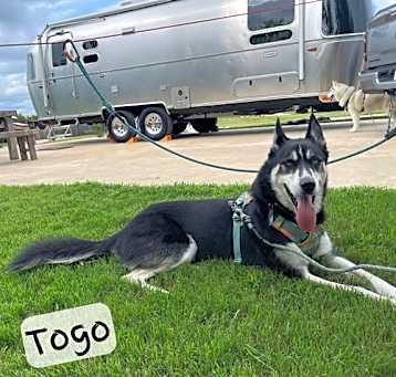 Photo of Togo