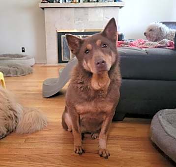 Photo of Sha Sha
