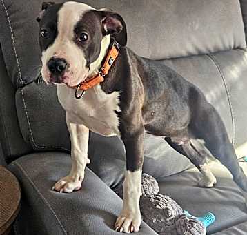 Photo of Etta