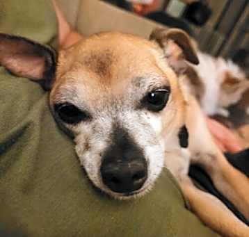 Photo of Toots