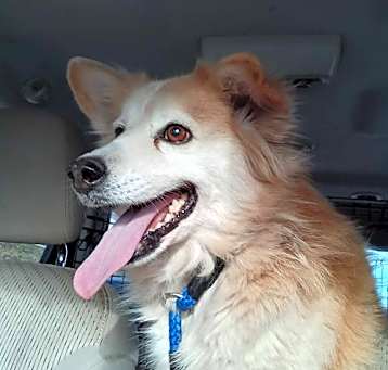 Photo of Galinda
