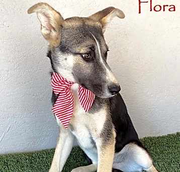 Photo of Flora