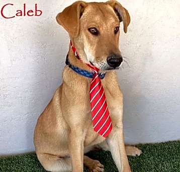 Photo of Caleb