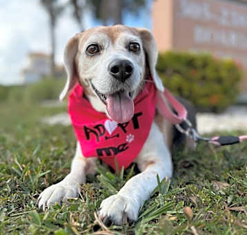 Photo of Daisy V