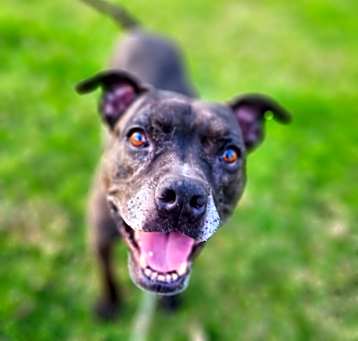 Photo of Zoe(C000-321) - Claremont Location