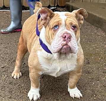 Photo of Rosie
