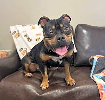 Photo of Olivia