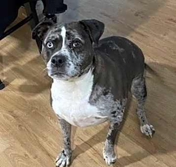 Photo of Leah - Courtesy Post
