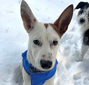 Photo of Xena