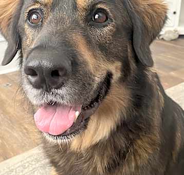 Photo of Olive