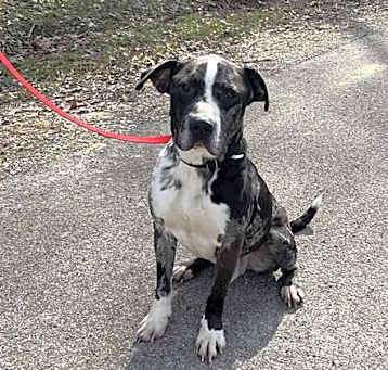 Photo of OTIS