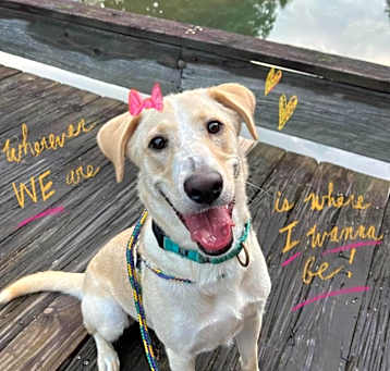 Photo of Penny