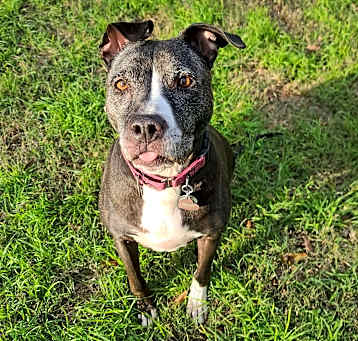 Photo of Maya
