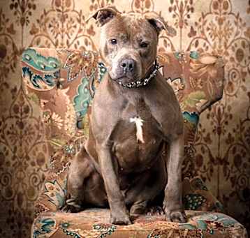 Photo of Jillian