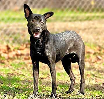 Photo of Vera Fang