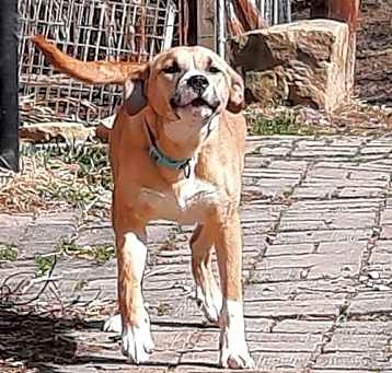 Photo of Valor