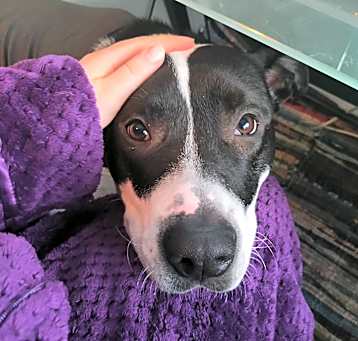 Photo of Ellie