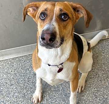 Photo of Bandit
