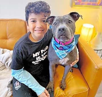 Photo of Lola Lovebug the Kid-Friendly gentle girl
