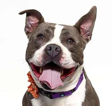 Photo of CANDY