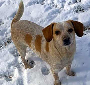 Photo of Crissy