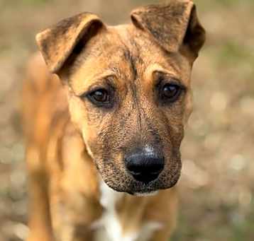 Photo of DIAMOND