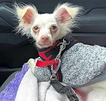 Photo of CASPER