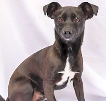 Photo of 160069 Cooper