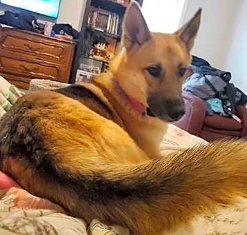 Photo of Freya