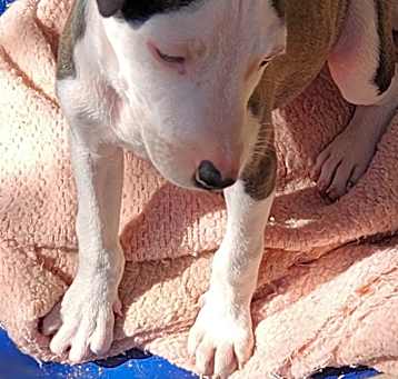 Photo of Maggie