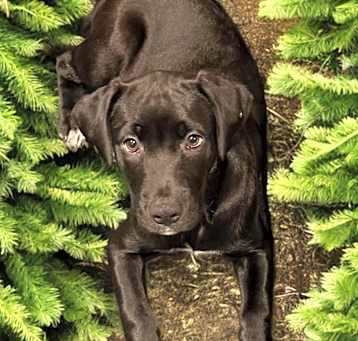 Photo of Luna