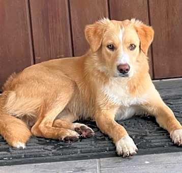 Photo of Sunnie