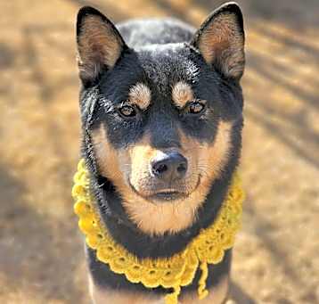 Photo of Yeoni