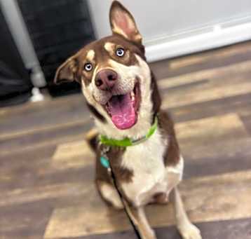 Photo of Fritz