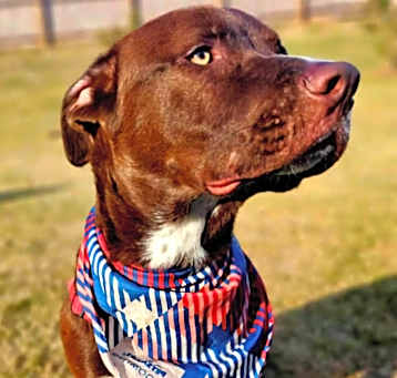 Photo of Clyde