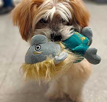 Photo of Maxwell
