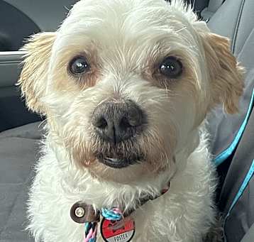 Photo of Max