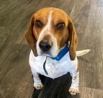 Photo of Benny